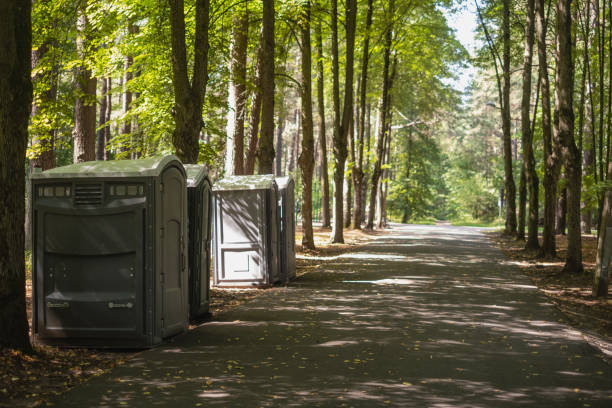 Best Local porta potty services  in Fallon, NV